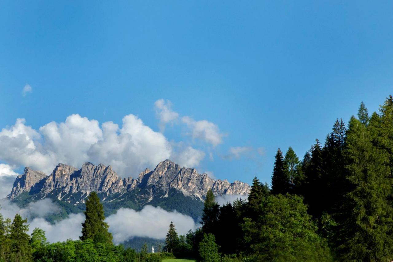 Chalet Del Capriolo Vodo Cadore ภายนอก รูปภาพ